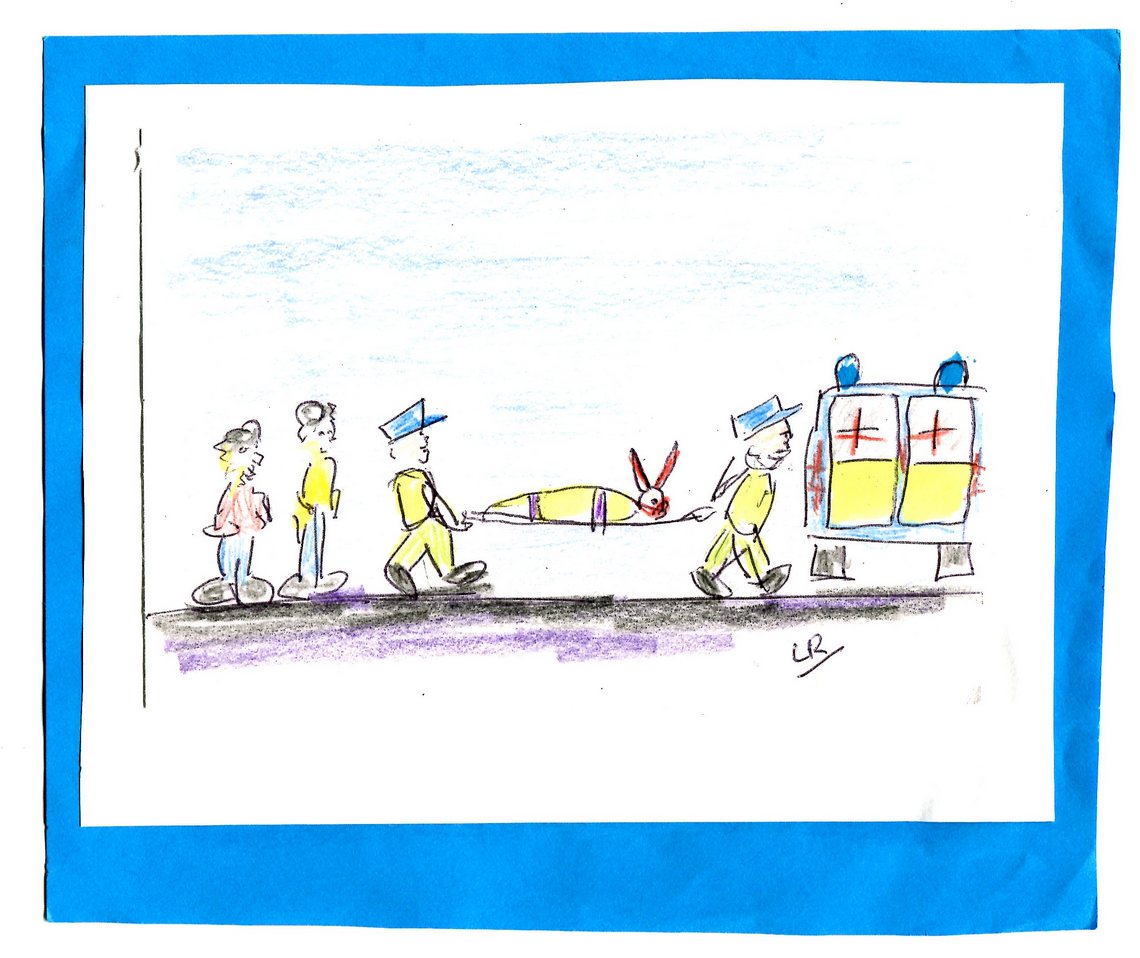 SMH03 Sydney on stretcher