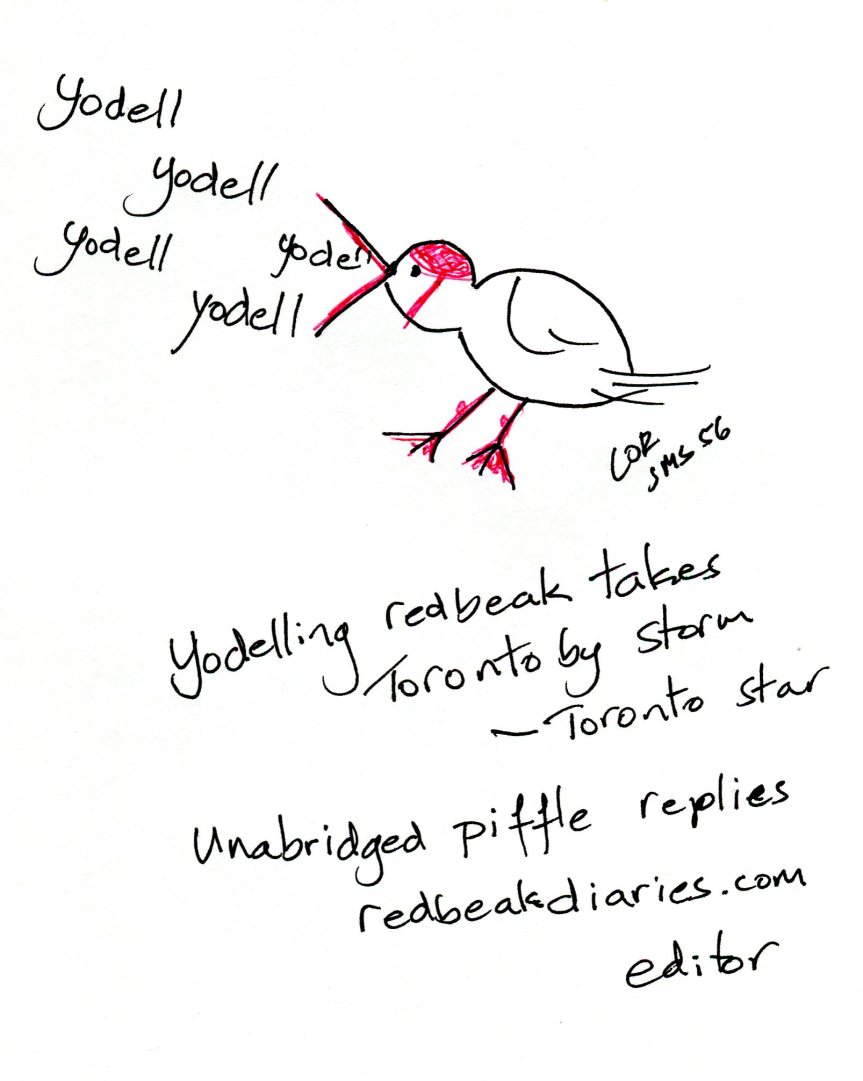 SMS56 Yodelling redbeak