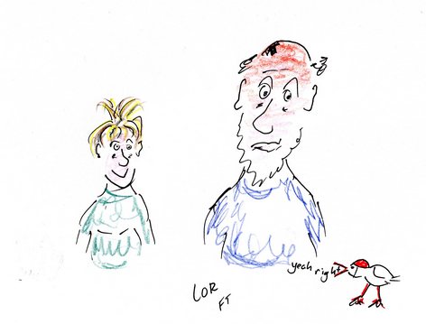 SMS85#2 Stupid bird is back